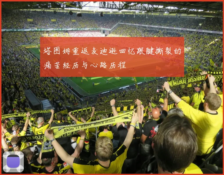 塔图姆重返麦迪逊回忆跟腱撕裂的痛苦经历与心路历程