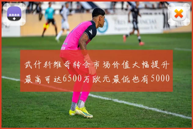 武什科维奇转会市场价值大幅提升最高可达6500万欧元最低也有5000万欧元