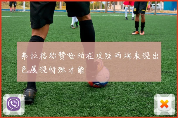 弗拉格称赞哈珀在攻防两端表现出色展现特殊才能
